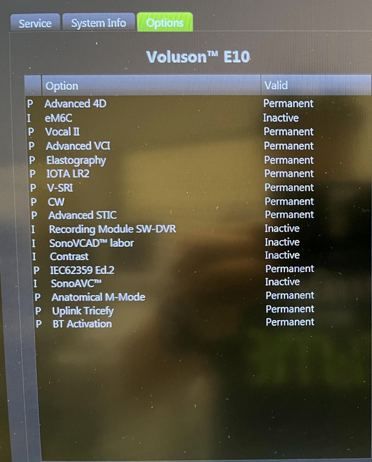 GE Voluson E10 BT19 4D Ultrasound System Screen